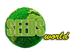 SeedsCannabis - Купить семена конопли
